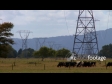 Power Lines & Dairy Cows 2 1180